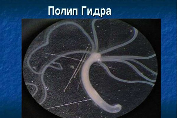 Кракен лого маркетплейс