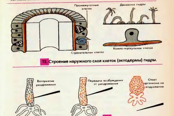 Ссылки на кракен мегу