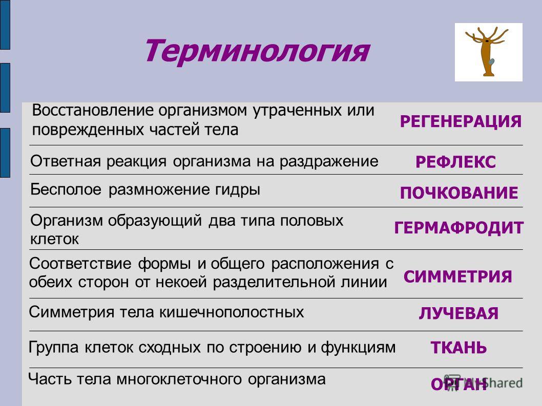 Почему не получается зайти на кракен